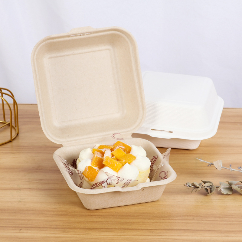 10/20/50Pcs Disposable Eco-Fri - Meal Prep Day recensie en prijs